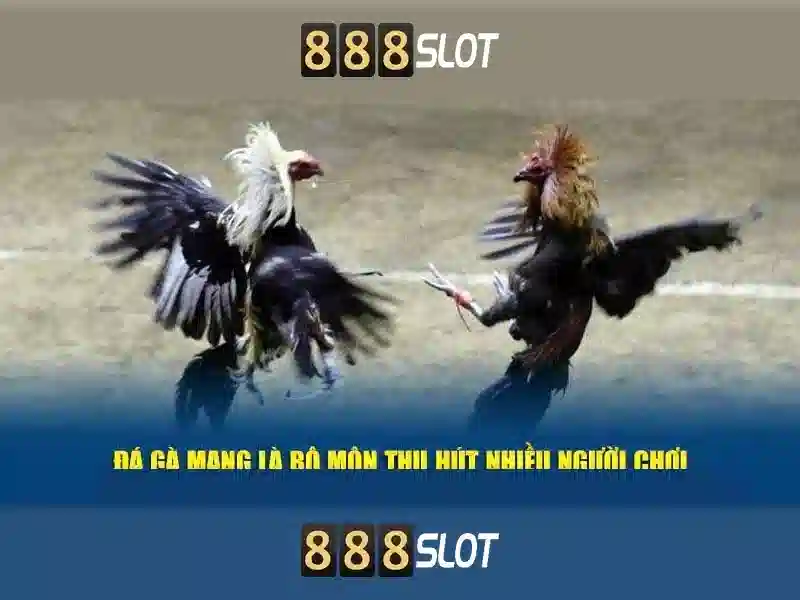 ưu đãi Slot 888SLOT