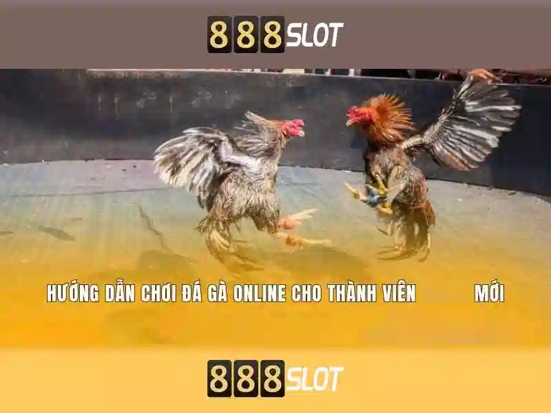 Đặc Điểm Nổi Bật