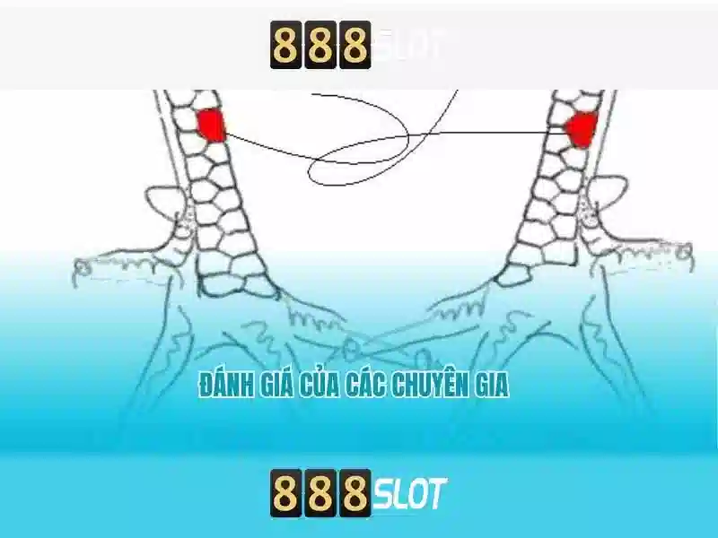 Khuyến Mãi 888SLOT