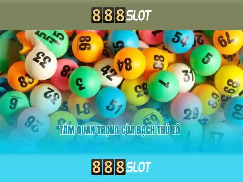 Giới Thiệu Về Top Nhà Cái 888SLOT