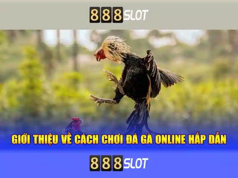 888SLOT – Đăng Nhập 888slot Com Login Trực Tuyến, Trải Nghiệm Cá Cược Đỉnh Cao 2026