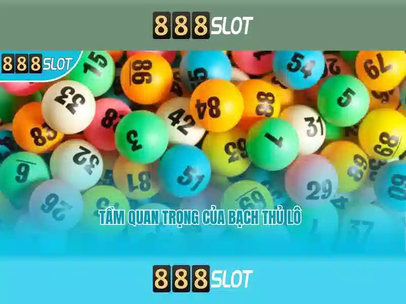 Tính minh bạch 888SLOT