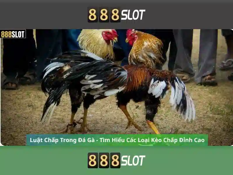 Chính sách bảo mật tại 888SLOT 2026