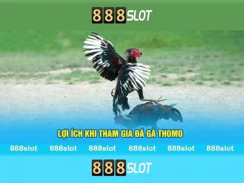 888SLOT – Ứng Dụng Cá Cược Trực Tuyến Đỉnh Cao Cho Người Chơi Slot