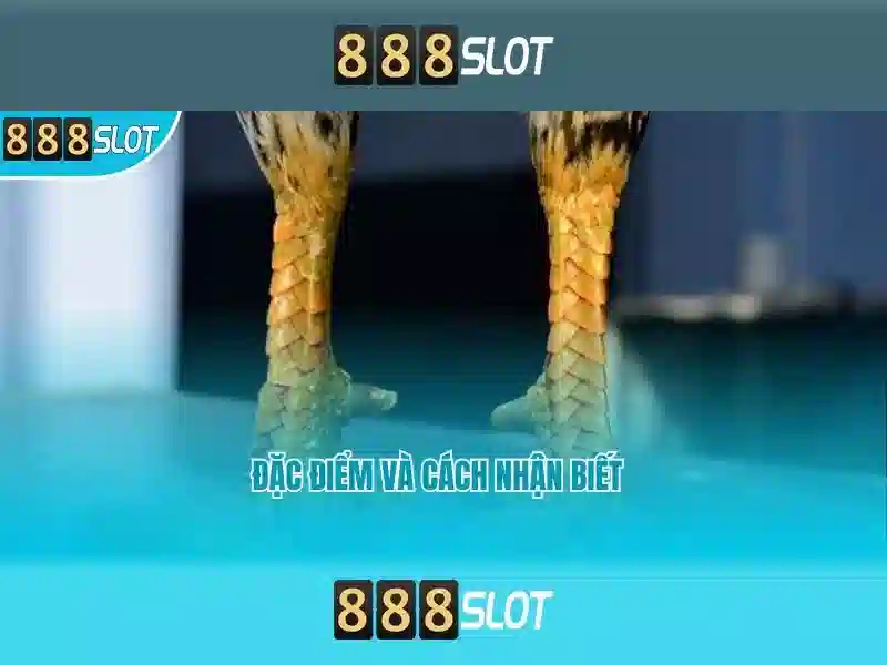 Ưu Đãi Slot Độc Quyền