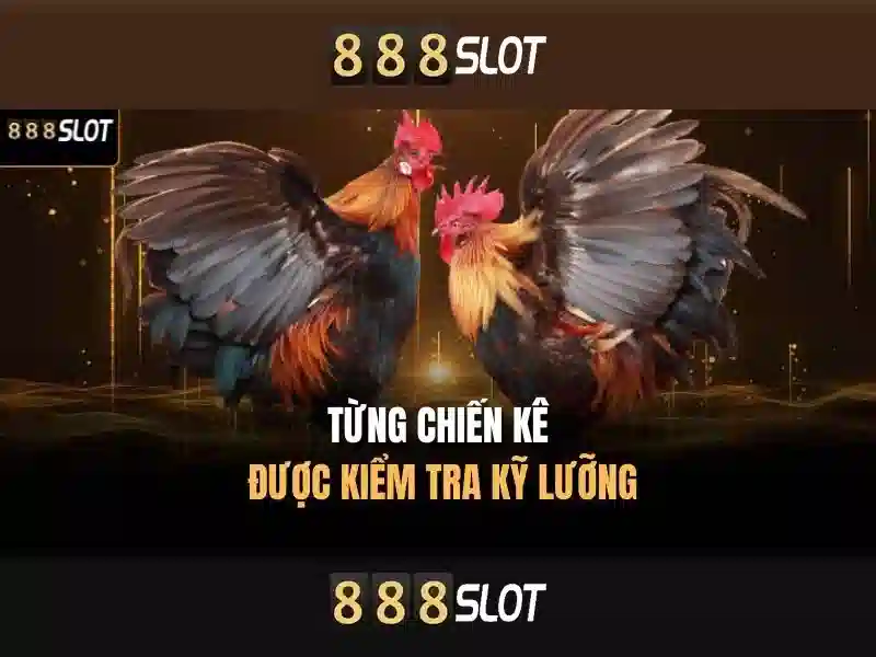 trải nghiệm cá cược 888SLOT