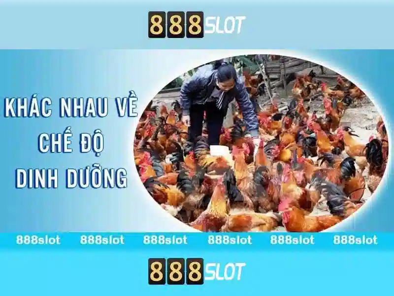 Hướng Dẫn Đăng Ký Và Nạp Tiền Tại hm 888 slot