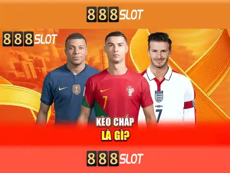 Đặc Điểm Nổi Bật