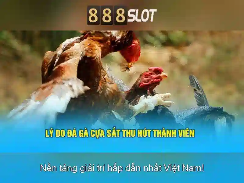 Quyền Lợi Của Người Dùng 888SLOT