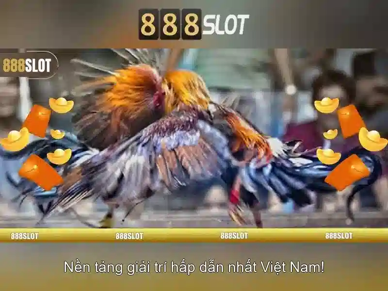 hỗ trợ 24/7