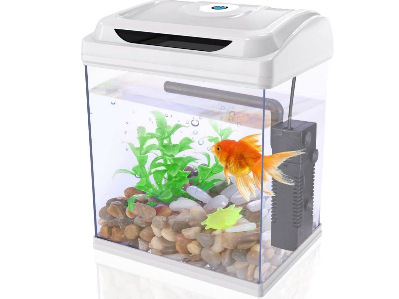 Peceras Pequeñas Baratas